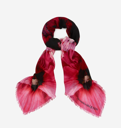 Alexander McQueen Shawl Paradise