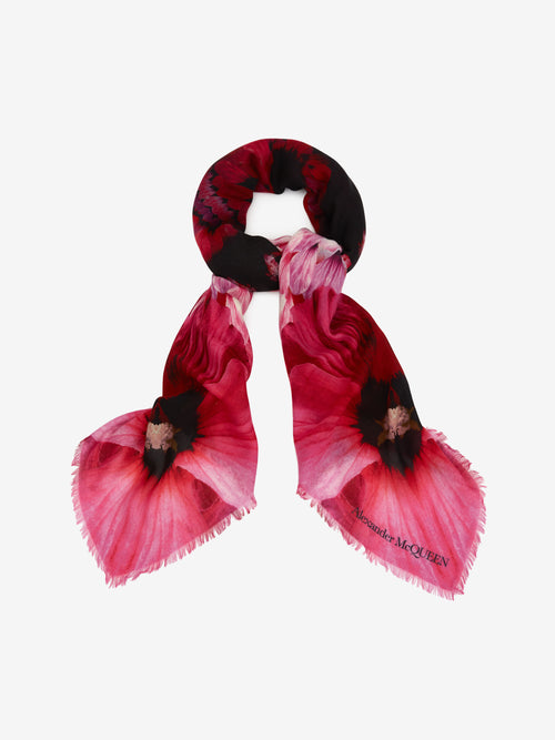 Alexander McQueen Paradise Skull Scarf in Black/Pink